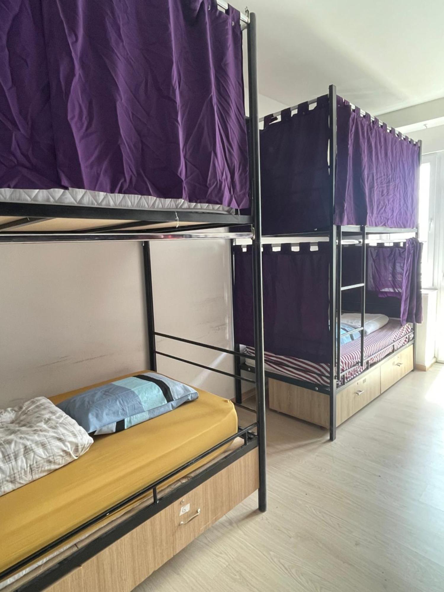 Newborn Comfort Hostel The Biggest Hostel Of Town With Best Location プリシュティナ エクステリア 写真